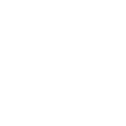 icon-exe